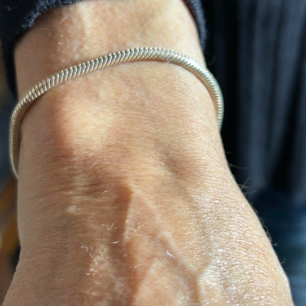 Elegant Silver Charm Bracelet
